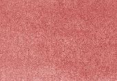 Jaipur Throw - Image 24